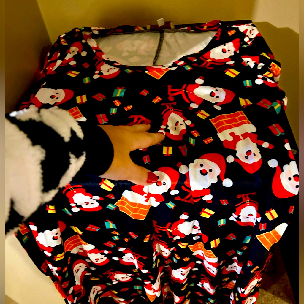 Nwot Women’s V Neck Santa Print Dress Small